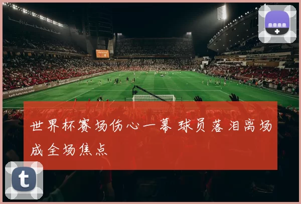世界杯赛场伤心一幕 球员落泪离场成全场焦点