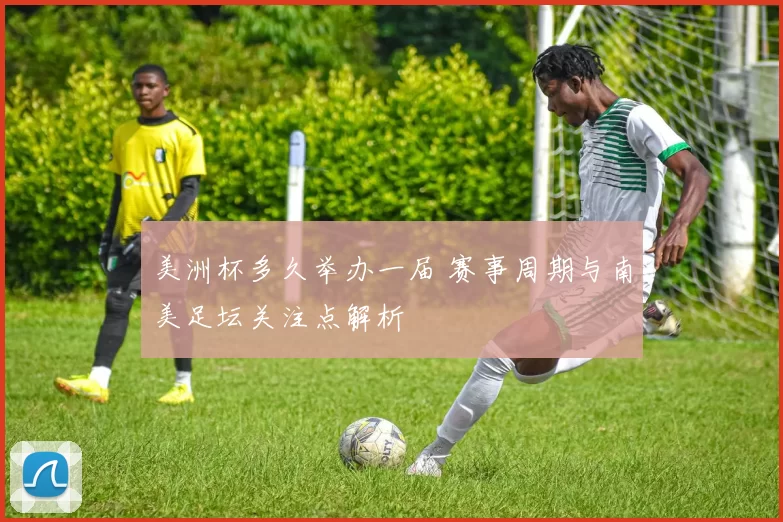 美洲杯多久举办一届 赛事周期与南美足坛关注点解析