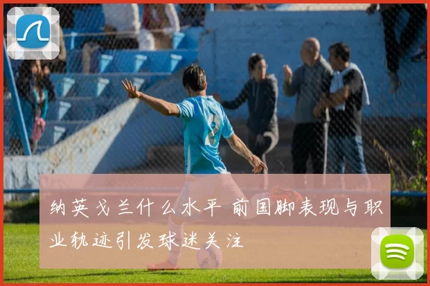 纳英戈兰什么水平 前国脚表现与职业轨迹引发球迷关注