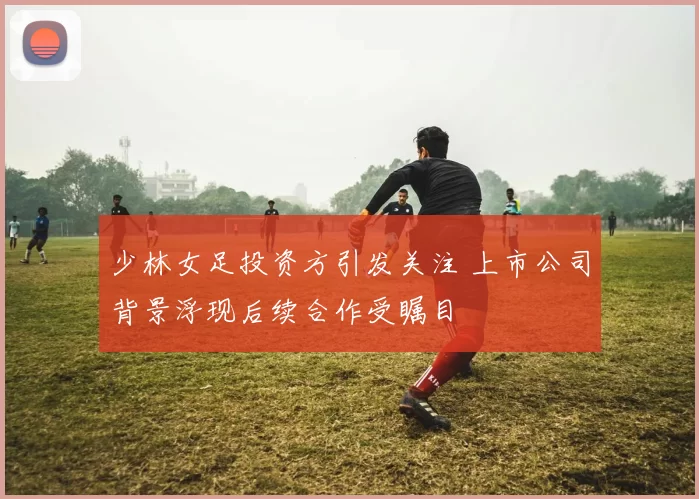 少林女足投资方引发关注 上市公司背景浮现后续合作受瞩目