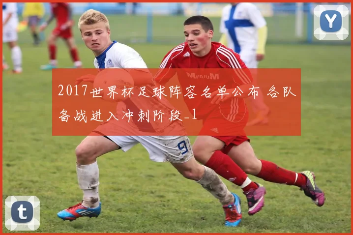 2017世界杯足球阵容名单公布 各队备战进入冲刺阶段_1